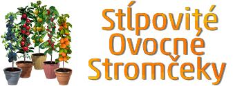 Stĺpovité Ovocné Stromčeky